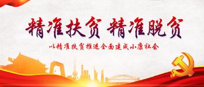 陶宏到大悟县调研 