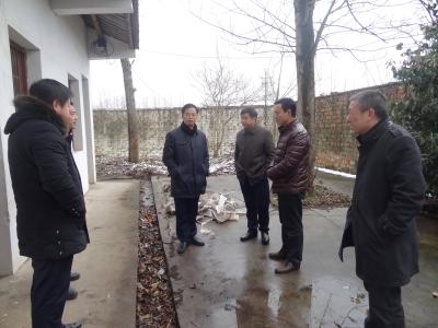 程文正到芳畈镇督办集中式光伏扶贫项目建设