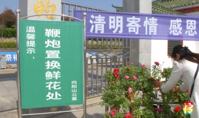 清明扫墓可用鞭炮换鲜花