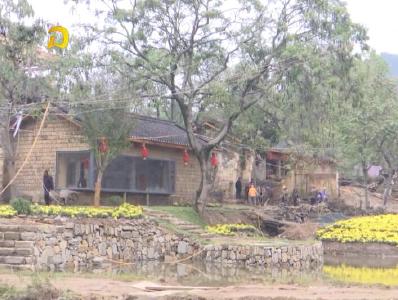 湖北省鄂西生态文化旅游圈投资有限公司到金岭村考察乡村旅游建设