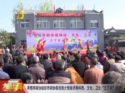 孝感市政协组织市政协委员到大悟县开展科技、文化、卫生“三下乡”活动