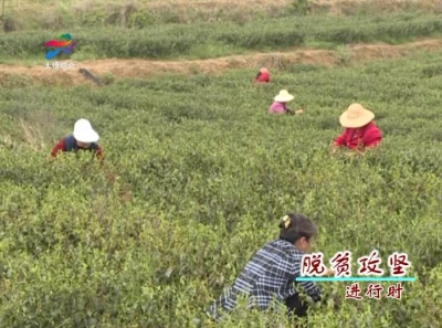 【脱贫攻坚进行时】开展“主题党日”活动 凝聚脱贫动力