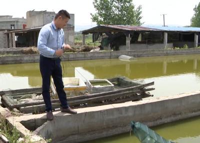 严家贵荣获孝感市农业生产“十大状元”荣誉称号