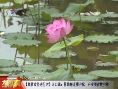 【脱贫攻坚进行时】河口镇：异地搬迁挪穷窝 产业脱贫拔穷根