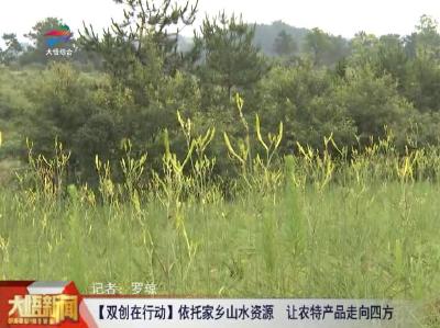 【大众创业 万众创新】依托家乡山水资源 让农特产品走向四方