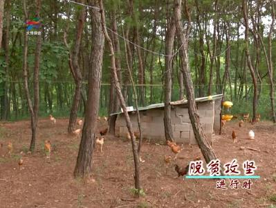 【脱贫攻坚进行时】夏店镇：推进扶贫小额信贷 助力精准脱贫