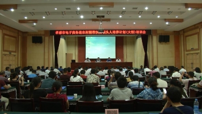 孝感市电子商务进农村精准扶贫领头人培养计划（大悟）培训班开班