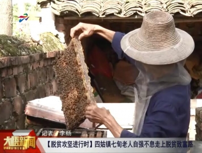 大悟：七旬老人自强不息走上脱贫致富路