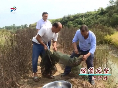 李小林：养殖小龙虾 脱贫有奔头
