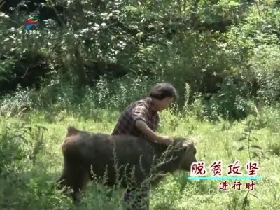 吕王镇刘院村：因户施策 让贫困户早日脱贫