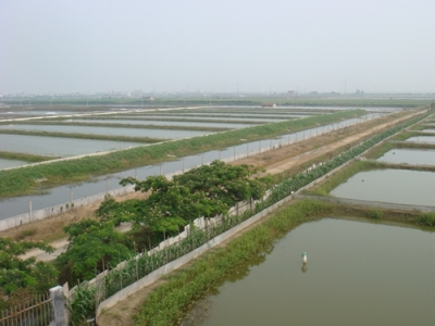 大悟7家水产养殖基地通过湖北省无公害农产品产地认定