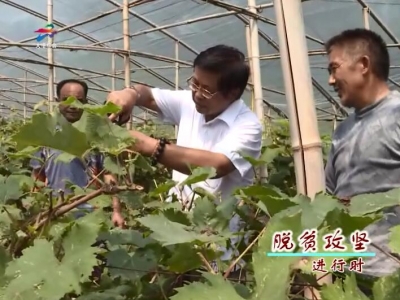 【脱贫攻坚进行时】市直驻新店村工作队：结对帮扶出实招 带动脱贫结硕果