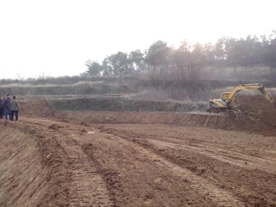 县水产局服务指导四姑镇田河龙虾养殖基地建设