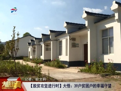 大悟：39户贫困户的幸福守望