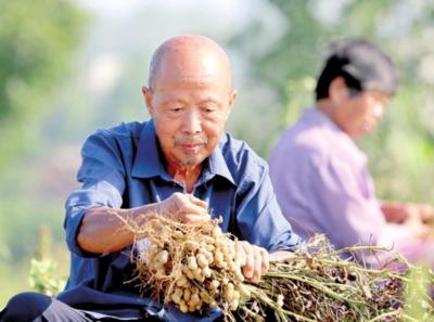 【30年重访贫困乡•聚焦脱贫攻坚】脱贫致富靠自己