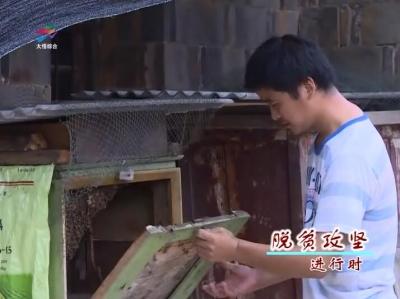 高忠强的“蜂”衣足食脱贫路