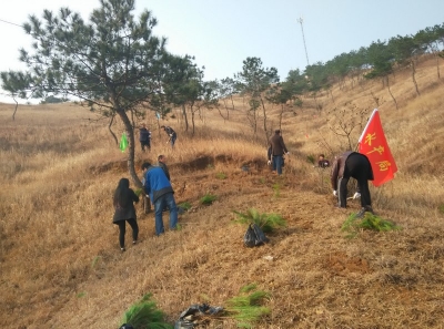 二月春风吹绿芽 正是植树好时节