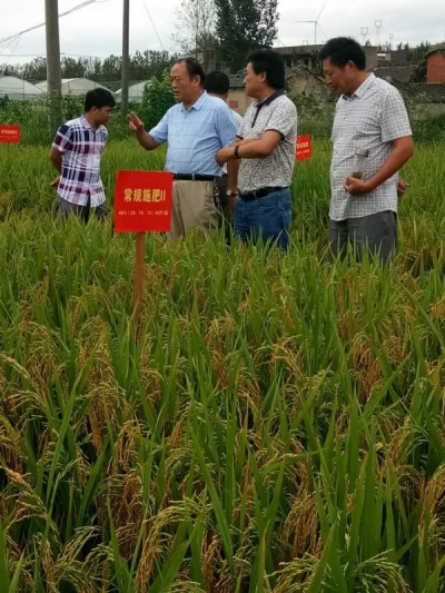 抓党建，促发展  县农业局将“两学一做”学习教育 落实到田间地头