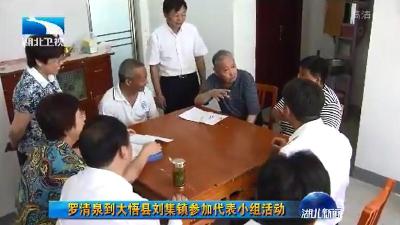 罗清泉到大悟县刘集镇参加代表小组活动