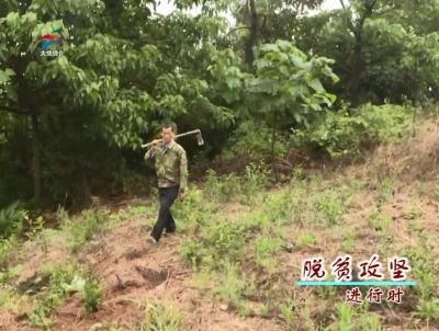董治水：身残志坚战贫困 产业帮扶奔富路