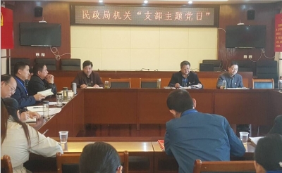 大悟县民政局机关支部开展10月份“支部主题党日”活动