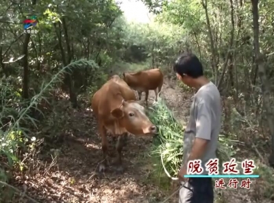 精准扶贫解心结 因户施策助脱贫