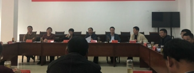 项目点题督办会