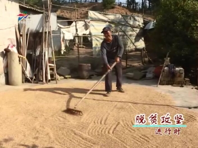 夫妻二人共携手 身残志坚奔富路