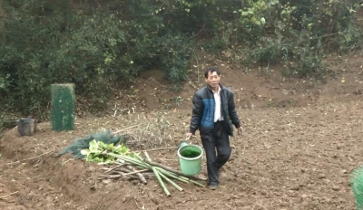 丰店镇: 开展土地增减挂钩 助推农民增收