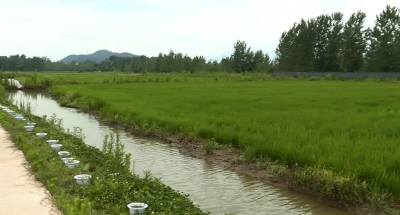 大悟水产养殖主打“特色”牌