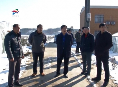 市政协主席仇平贵到大新镇土桥村调研督导精准扶贫工作