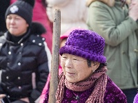 图集：金岭年货节