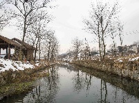 图集：金岭年货节