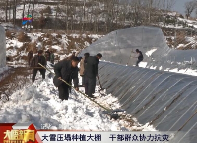 大雪压塌种植大棚 干部群众协力抗灾