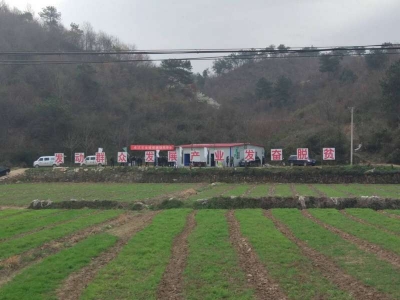 阳平镇组织无人机植保现场观摩会