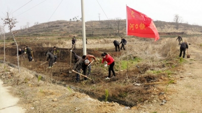 河口镇开展义务植树活动