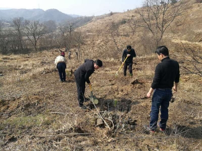 阳平镇积极开展义务植树活动