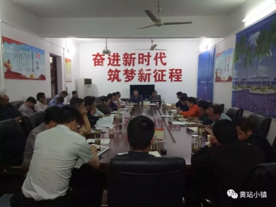 黄站镇集中学习习近平总书记视察湖北重要讲话精神