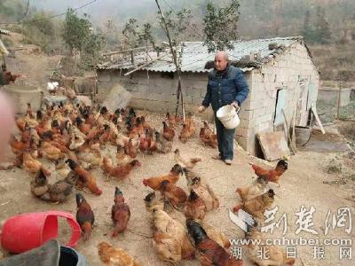 脱贫之路（27）：大悟脱贫标兵的家庭产业清单