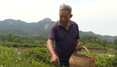 【脱贫攻坚 决胜2019】大悟县推动农户产品提档升级 助推精准扶贫工作