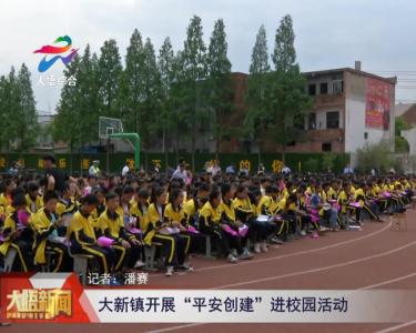 大新镇开展“平安创建”进校园活动