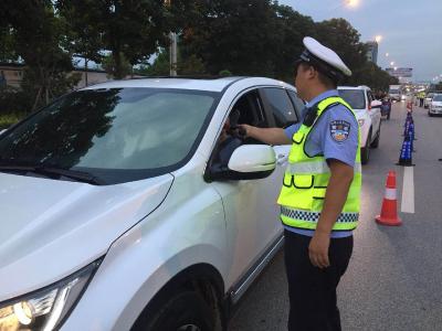 大悟交警夜查酒驾网络直播