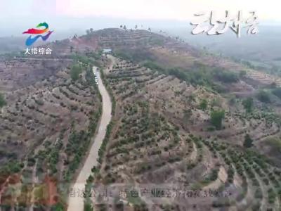 悟达公司：特色产业经济拓宽致富路
