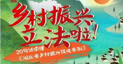 图解 | 文化墙上看“立法”，20句话读懂湖北乡村振兴