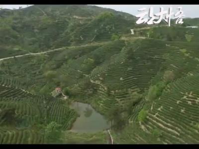三里派出所：全力护航茶企业复工复产
