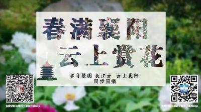 直播｜居家抗疫 不负春光！春满襄阳·云上赏花 