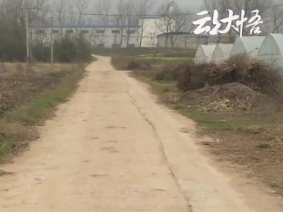 三里城镇：“无疫村”蔬菜大棚有序复工复产