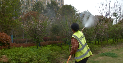 大悟 |大悟县城管局：打造净化、绿化、亮化、美化的城区环境