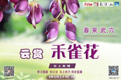 直播｜云游湖北 不负春光！春来武穴 云赏禾雀花