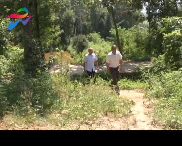 大悟：医疗保障惠民生 产业发展促脱贫